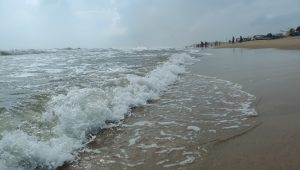 oplus_2